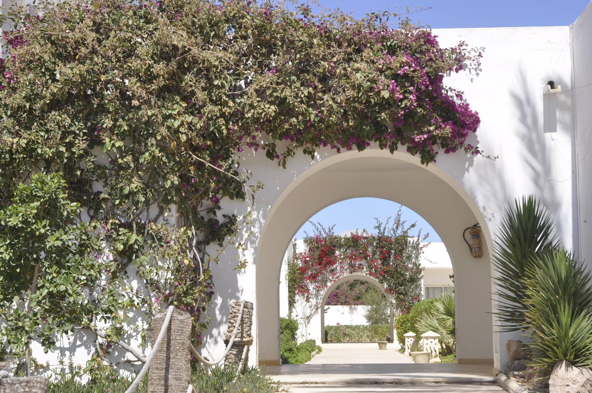 Jerba Sun Club Hotel 3*
